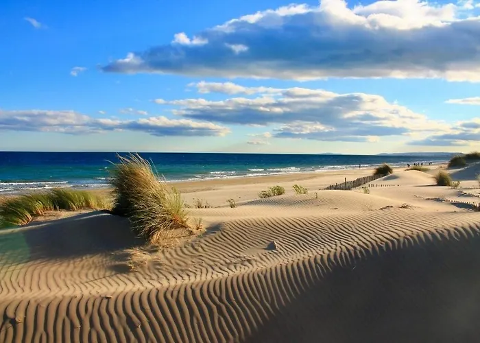 Cosy - View Апартаменты